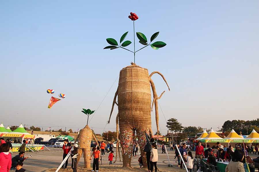 파주 개성인삼축제